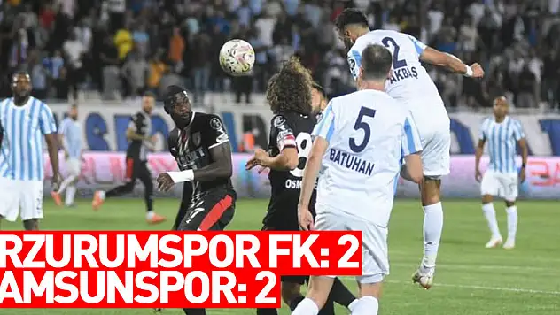 Spor Toto 1. Lig: Erzurumspor FK: 2 - Samsunspor: 2