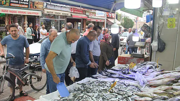Havalar serinledi, palamut kendini gösterdi