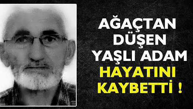 İncir ağacından düşen yaşlı adam hayatını kaybetti