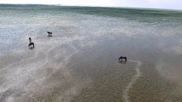 Kuş Cenneti'nin güzelliğine havadan bakış