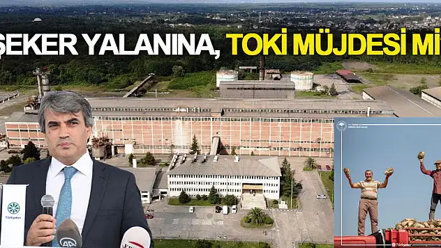ŞEKER YALANINA, TOKİ MÜJDESİ Mİ?