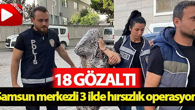 Samsun merkezli 3 ilde hırsızlık operasyonu: 18 gözaltı