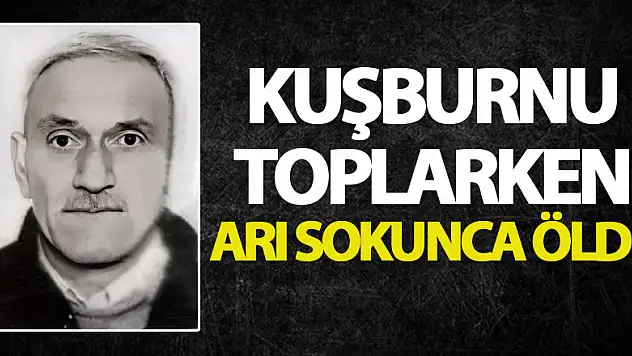 Kuşburnu toplarken arı sokunca öldü
