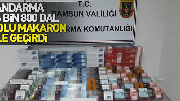 Samsun'da jandarma 16 bin 800 dal dolu makaron ele geçirdi