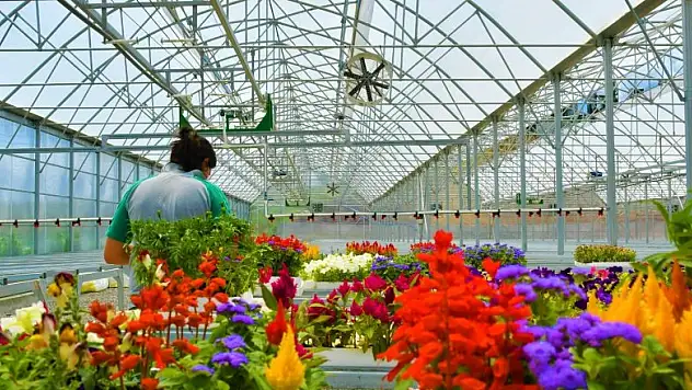 Atıkların çiçeği dönüştüğü projeye ödül