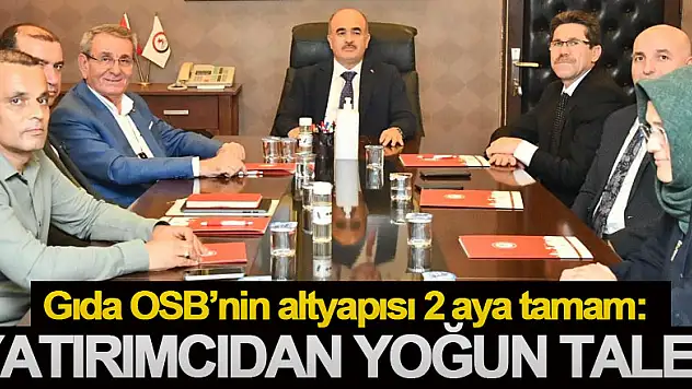 Gıda OSB'nin altyapısı 2 aya tamam: Yatırımcıdan yoğun talep
