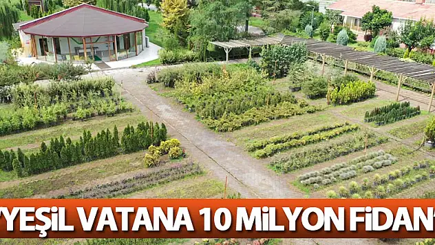 Yeşil vatana 10 milyon fidan
