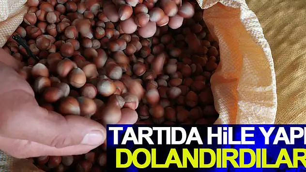 Yüksek fiyat verdikleri fındık üreticilerini tartıda hile yapıp dolandırdılar