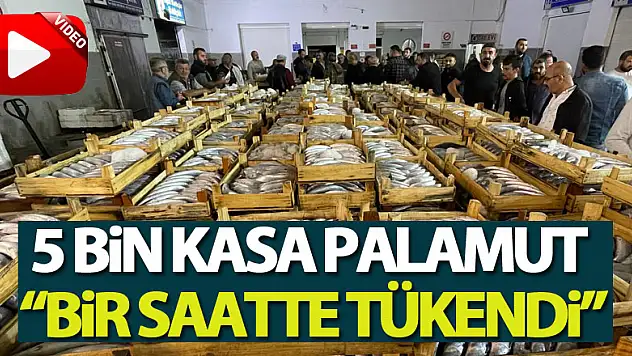 Samsun'da balık haline gelen 5 bin kasa palamut bir saatte tükendi