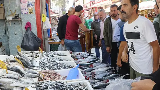 Karadeniz'de palamut zamanı