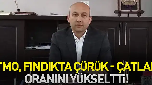 Tmo, Fındıkta Çürük - Çatlak Oranını Yükseltti