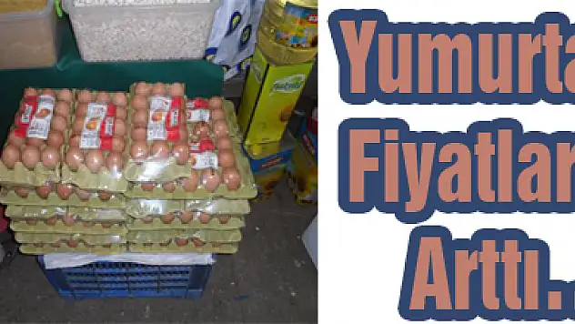 Yumurta Fiyatları Arttı…