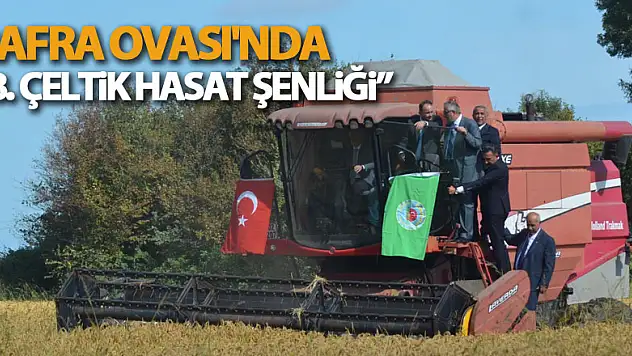 Bafra Ovası'nda '8. Çeltik Hasat Şenliği'