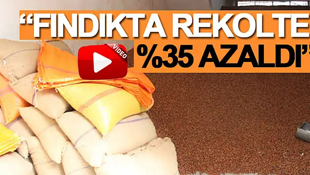 'Fındıkta Rekolte %35 Azaldı'
