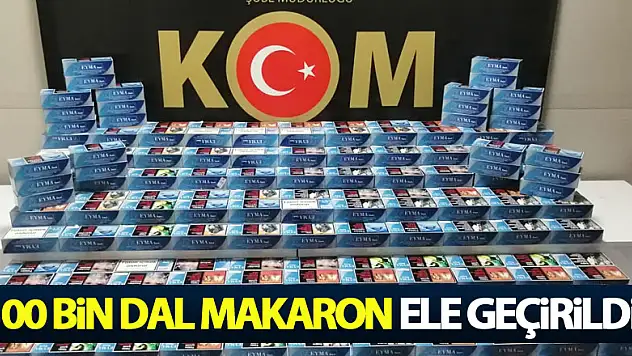 Samsun'da 100 bin dal makaron ele geçirildi