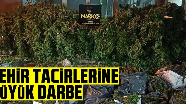Bafra'dan zehir tacirlerine büyük darbe