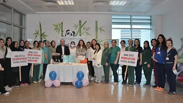 'İlk altı ay sadece anne sütü'