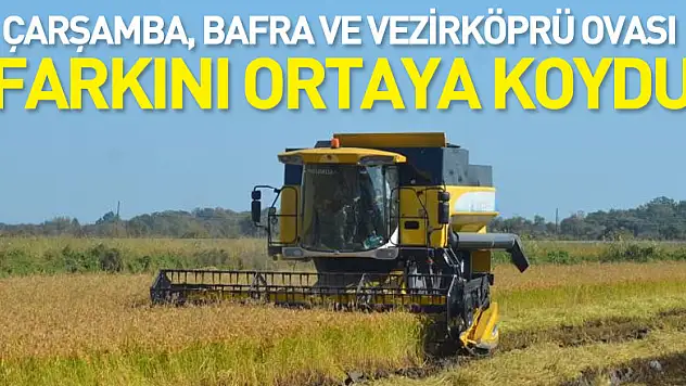 Türkiye'nin tarla bitkileri, meyve ve sebze ambarı Samsun