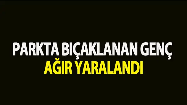 Parkta bıçaklanan genç ağır yaralandı