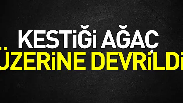 Kestiği Ağaç Üzerine Devrildi