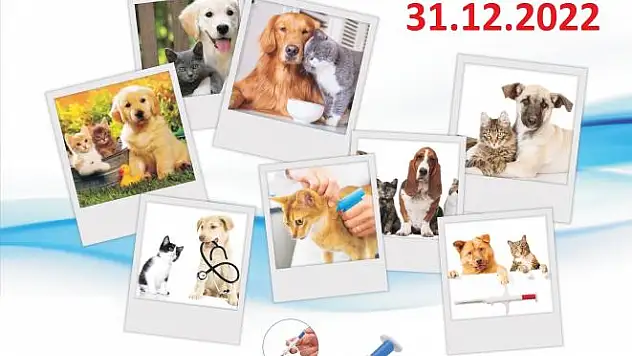 7 bin evcil hayvan mikroçiple kayıt altında