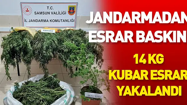 Jandarmadan esrar baskını: 14 kg kubar esrar yakalandı