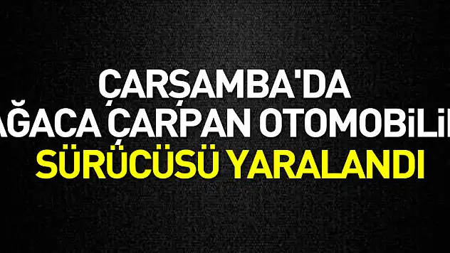 Çarşamba'da ağaca çarpan otomobilin sürücüsü yaralandı