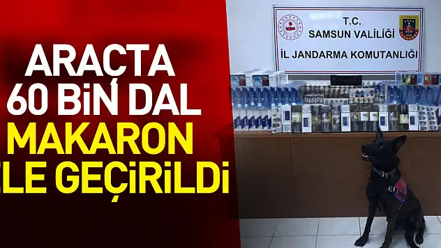 Samsun'da araçta 60 bin dal makaron ele geçirildi
