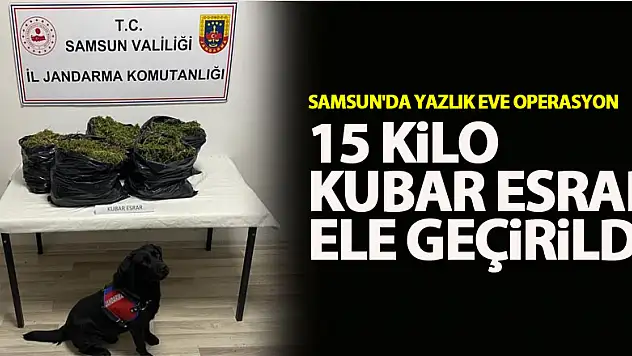 Samsun'da yazlık eve operasyon: 15 kilo kubar esrar ele geçirildi, 2 kişi yakalandı