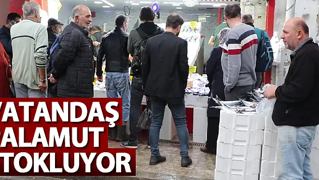 Vatandaş palamut stokluyor