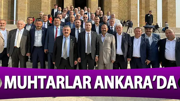 Muhtarlar Ankara'da