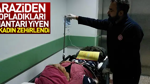 Araziden topladıkları mantarı yiyen 2 kadın zehirlendi