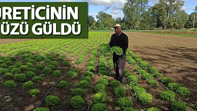 Karpuzdan zarar eden üreticinin yüzünü ıspanak güldürdü