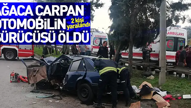 Samsun'da ağaca çarpan otomobilin sürücüsü öldü, 2 kişi yaralandı