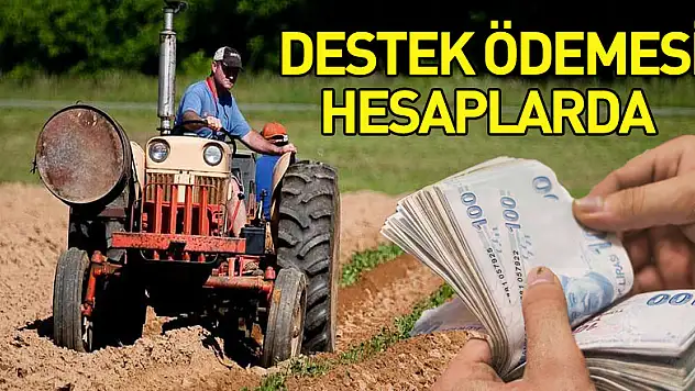 Samsun'da çiftçilerin destek ödemesi hesaplarına yatırıldı