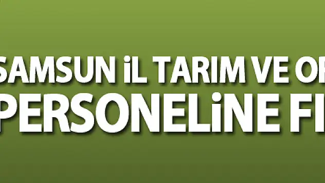 Samsun İl Tarım ve Orman Müdürlüğü personeline fındık eğitimi