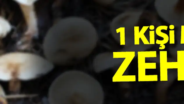 Samsun'da 1 kişi mantardan zehirlendi