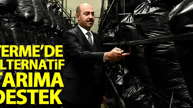 Terme'de alternatif tarıma destek
