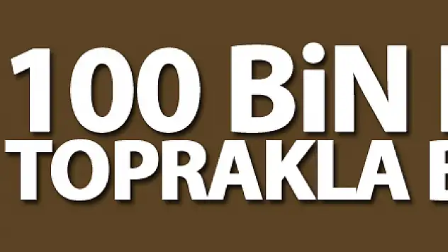 Samsun'da 100 bin fidan toprakla buluştu