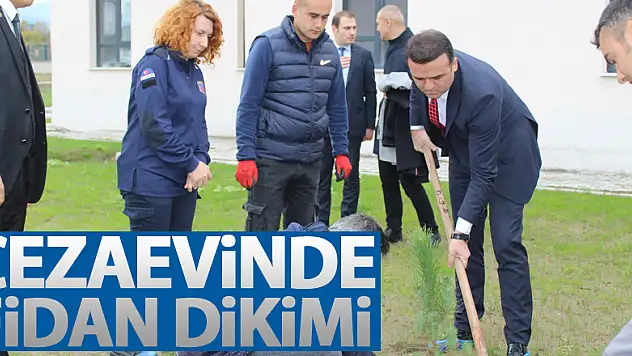 Cezaevinde Fidan Dikimi
