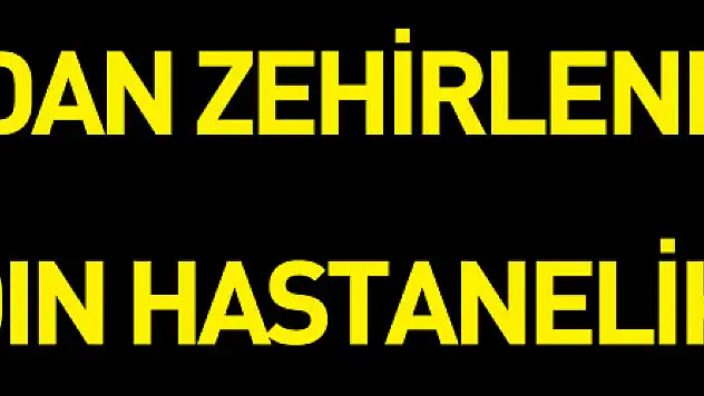 Sobadan zehirlenen yaşlı kadın hastanelik oldu