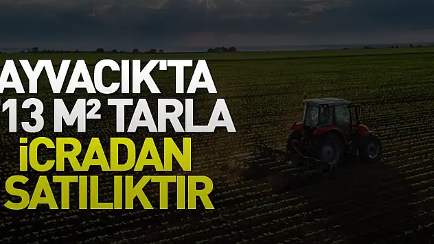 Samsun Ayvacık'ta 713 m² tarla icradan satılıktır (çoklu satış)