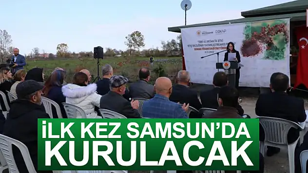 Karadeniz'in ilk 'sumak' bahçeleri Samsun'da kurulacak