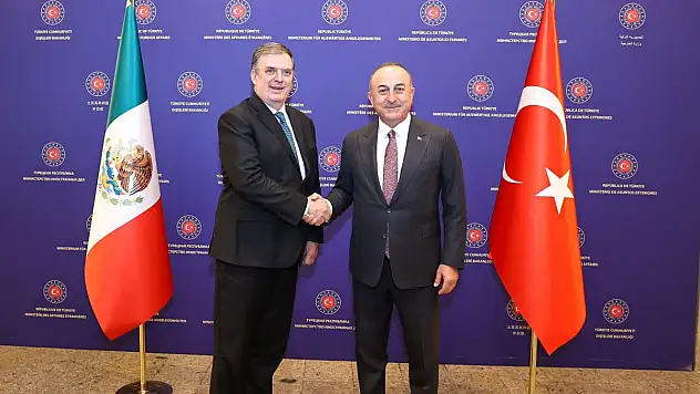 Bakan Çavuşoğlu: 'Türk yüzyılı, Türk baharı başladı'