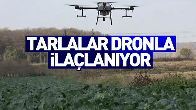 Tarlalar dronla ilaçlanıyor