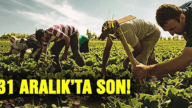 2023 ÇKS başvuruları 31 Aralık'ta sona eriyor