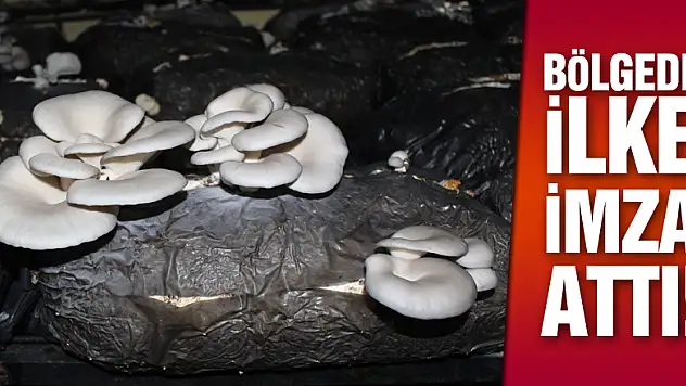 Bölgede ilke imza attı!