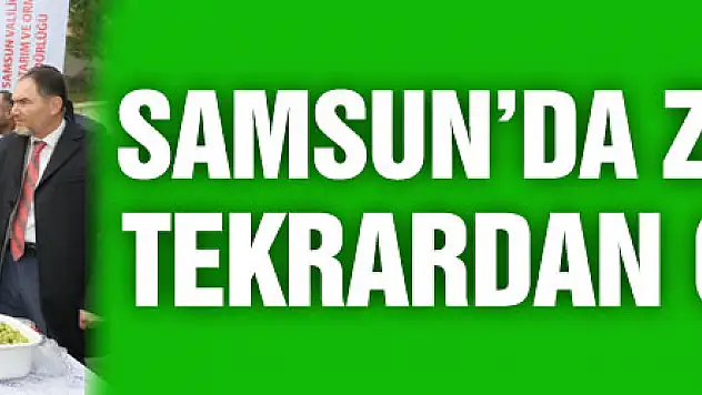 Samsun'da zeytin tarımı tekrardan canlanıyor