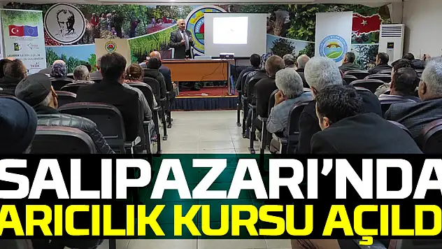 Salıpazarı ilçesinde arıcılık kursu açıldı