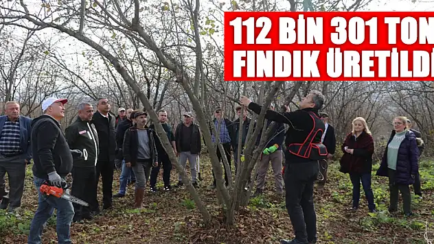 Samsun'da 2022'de 112 bin 301 ton fındık üretildi